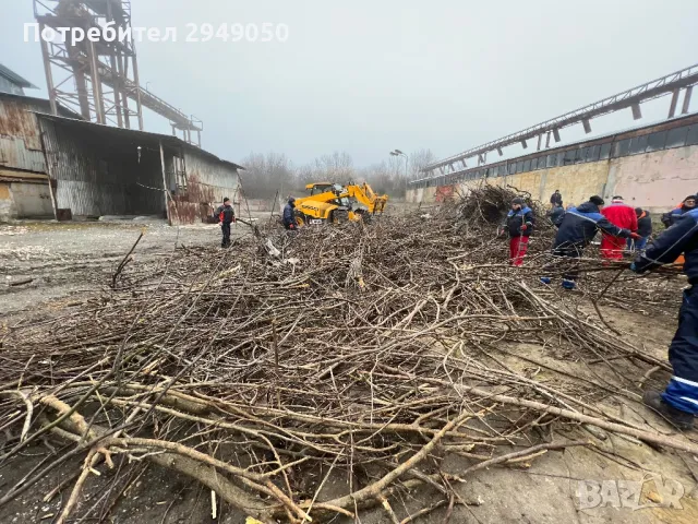 Дробилка за клони под наем, снимка 5 - Други услуги - 49334277