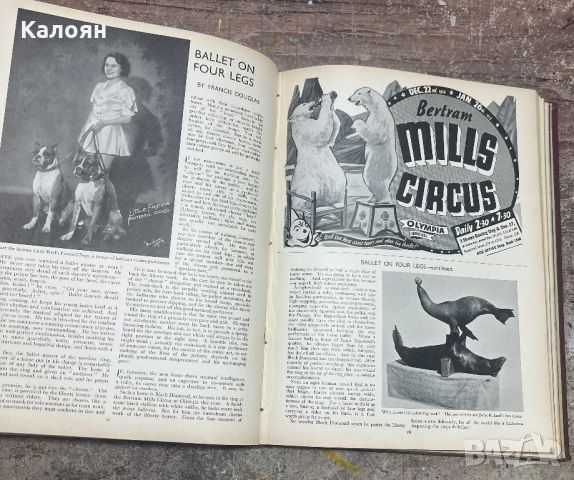 Стари английски списания GIRL’S OWN от 1938-39 събрани в албум, снимка 9 - Списания и комикси - 46544118