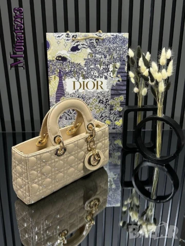 чанти christian dior 25/12см
