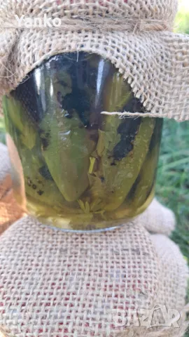 Пукани люти чушлета Jalapeño , снимка 2 - Домашни продукти - 47125682