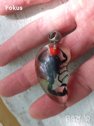 Медальон скорпион, снимка 5 - Антикварни и старинни предмети - 53424596