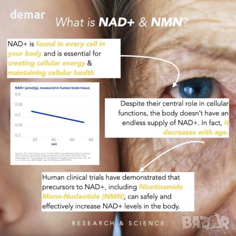 DeCod NAD+ NMN добавка транс-ресвератрол за ДНК синтез и клетъчно здраве Без глутен Без ГМО 30 капс., снимка 3 - Хранителни добавки - 45997632