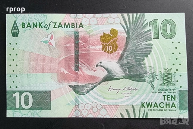 Замбия . 10 и 20 квача. 2024 година. Най новата серия. UNC. Цената е за двете банкнати., снимка 3 - Нумизматика и бонистика - 43323408