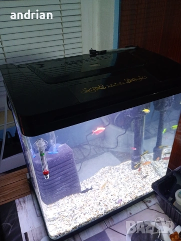 аквариум, снимка 5 - Аквариуми - 53656446