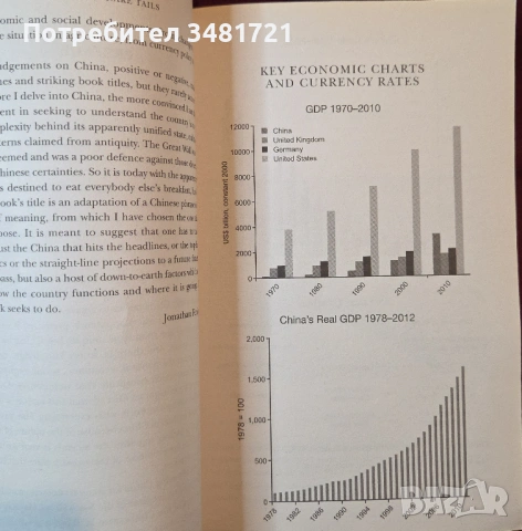 Китай днес - глава на тигър, опашка на змия / Tiger Head, Snake Tails. China Today, снимка 4 - Художествена литература - 54243952