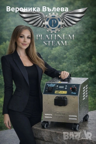 Platinum Steam , снимка 2 - Други услуги - 53927104