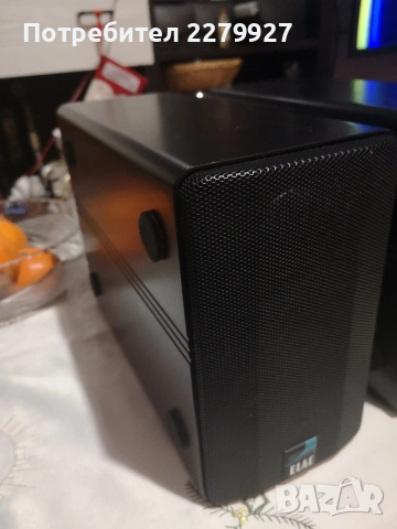 Elac Elegant 305 II - Germany тонколони , снимка 3 - Тонколони - 54115850