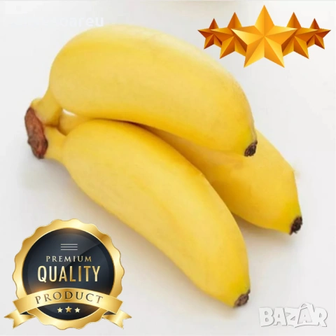 Нови 50 бр. Семена от Бонсай бананово дърво екзотични редки плодове палма за декорация на градината , снимка 4 - Сортови семена и луковици - 53428692