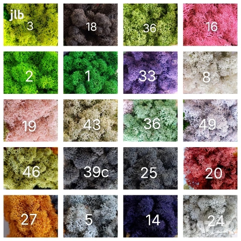 Скандинавски мъх за живи стени, пана и декорации, Премиум почистен Скандинавски мъх, снимка 2 - Декорация за дома - 36784939