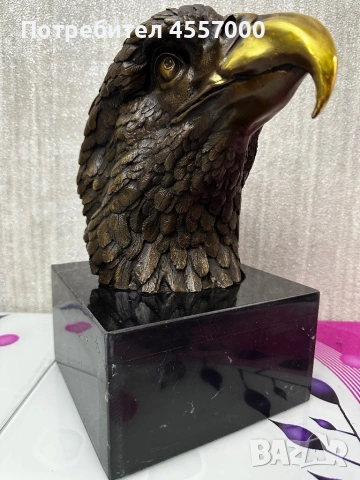 Главата на Орел, като добавих и теглото от 6 кг, за да бъде обявата напълно точна:, снимка 2 - Антикварни и старинни предмети - 53406027