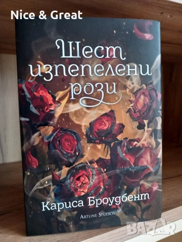 Книга на нощта от Холи Блек и други , снимка 5 - Художествена литература - 51944135