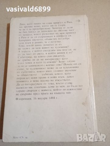 Роландо Кристофанели - Дневник на Микеланджело - лудия , снимка 3 - Художествена литература - 46127813