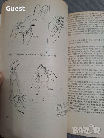 Кратко ръководство за препариране , снимка 6 - Специализирана литература - 46060225