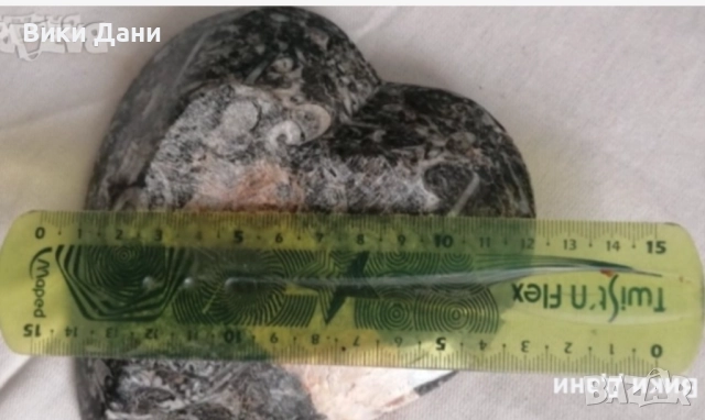 часовник минерали 50 милиона години вкаменелости , снимка 12 - Антикварни и старинни предмети - 38398414