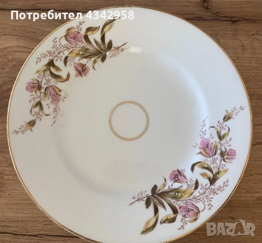 Антикварна порцеланова чиния KPM Krister Waldenburg – около 1900 г.  , снимка 3 - Антикварни и старинни предмети - 53812225