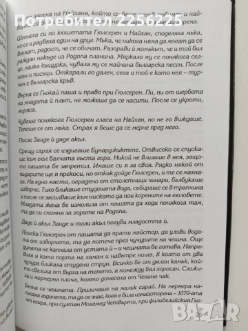 Пловдивска хроника, снимка 2 - Художествена литература - 54016381