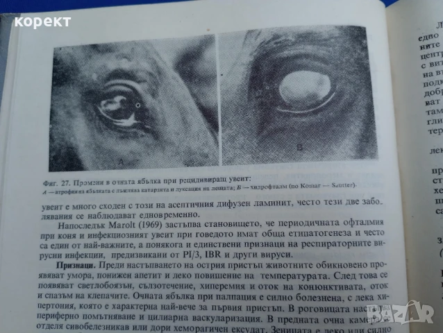 Частна хирургия при домашните животни , снимка 2 - Енциклопедии, справочници - 51185836