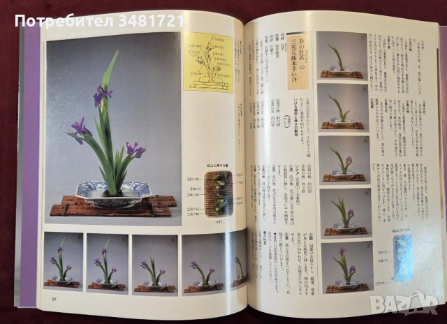 Икебана справочник - история, стилове и традиции / Ikebana, снимка 10 - Енциклопедии, справочници - 53748376