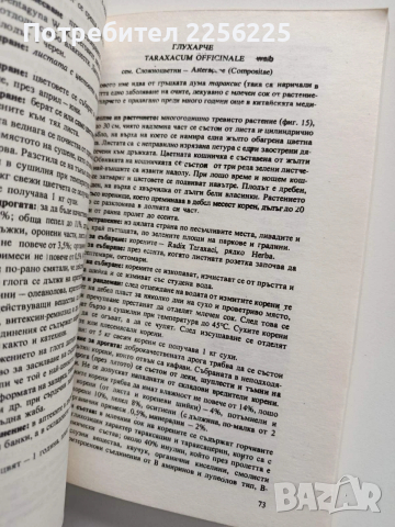 Опознай и събирай билки, снимка 2 - Специализирана литература - 54014854