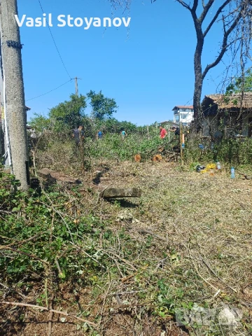 Косене на трева.Почистване на дворни места от храсти , дървета , снимка 16 - Други услуги - 50491395