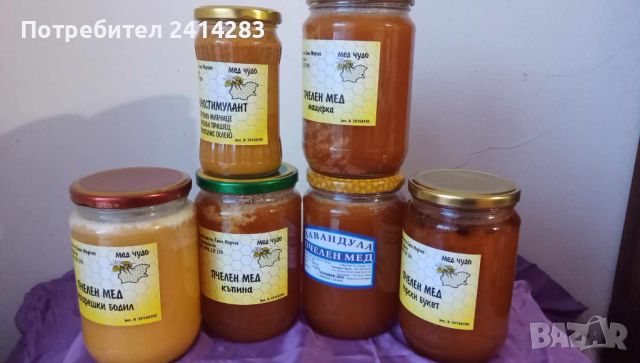 Уникален натурален пчелен мед МАГАРЕШКИ БОДИЛ,ГОРСКИ БУКЕТ,КЪПИНА,МАЩЕРКА и ЛАВАНДУЛА, снимка 1 - Пчелни продукти - 45851516