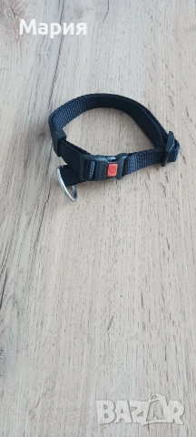 Каишка за малко куче , снимка 3 - За кучета - 53594652