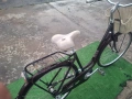 Дамски велосипед 28 цола, снимка 5