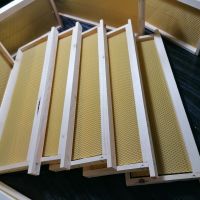 Рамки за пчелни кошери с монтирани восъчни основи, снимка 1 - За пчели - 45208972