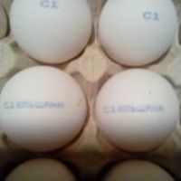 Комплекс за маркиране MARK EGGS HP-16800, снимка 2 - Друго търговско оборудване - 45326403