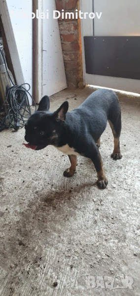 На година и два три месеца доказан баща бащаму е син, снимка 1