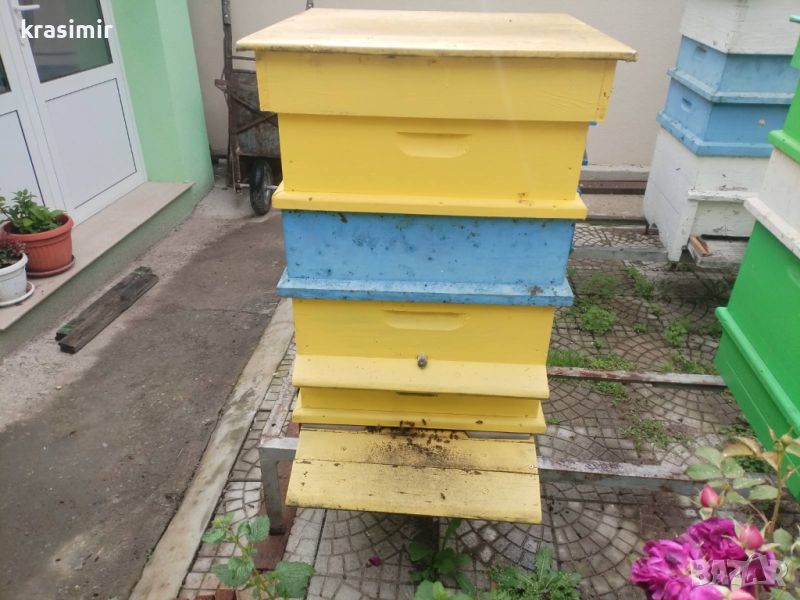 Кошери за пчели , снимка 1