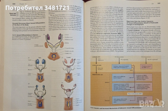 Biological Psychology. An Introduction to Behavioral, Cognitive and Clinical Neuroscience, снимка 14 - Специализирана литература - 53251130