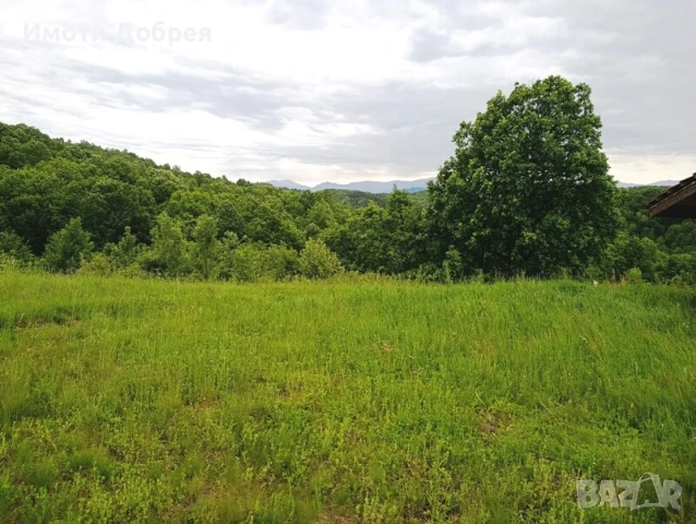 Парцел с панорама в с. Белиш - Троянски балкан, снимка 5 - Парцели - 50514537