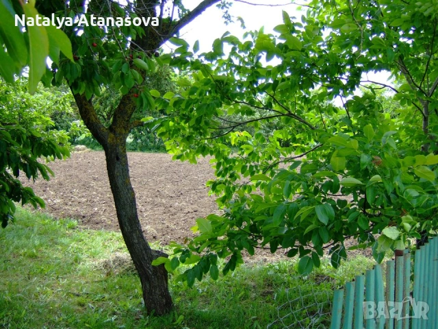 Предлагаме парцел 850 кв.м. намиращ се на главния път А27, снимка 6 - Парцели - 53635312