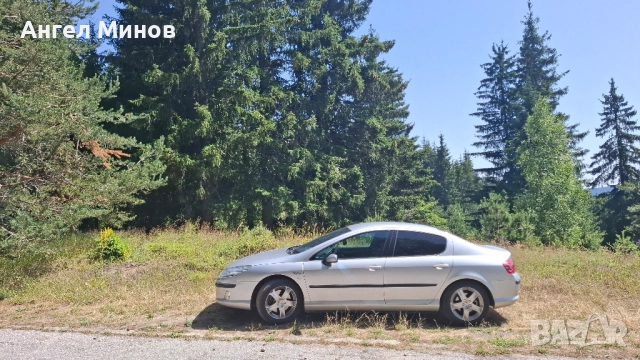 Джанти 17 цола с гуми 215/55 летни за Пежо 407, снимка 3 - Гуми и джанти - 52189961