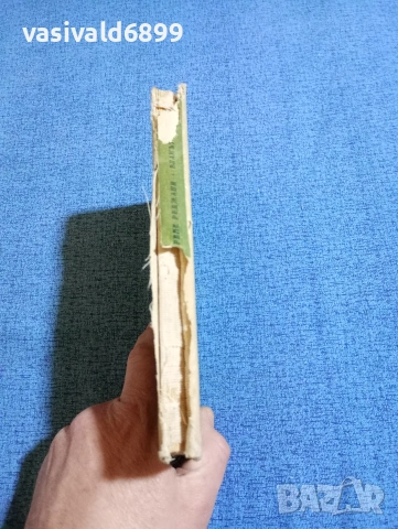 Рене Реджани - Влакът на слънцето , снимка 2 - Детски книжки - 53574276