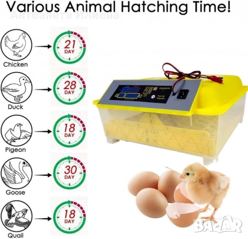 Напълно автоматичен инкубатор за 48 яйца 80W YZ8-48, снимка 6 - Други - 50938719