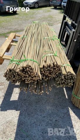 Колчета от бамбук за укрепване на домати, снимка 2 - Други - 45865943