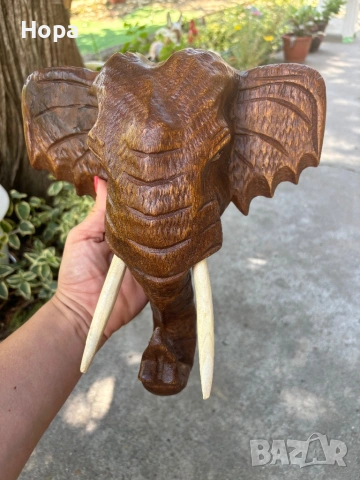 Слонска глава за стена от тиково дърво