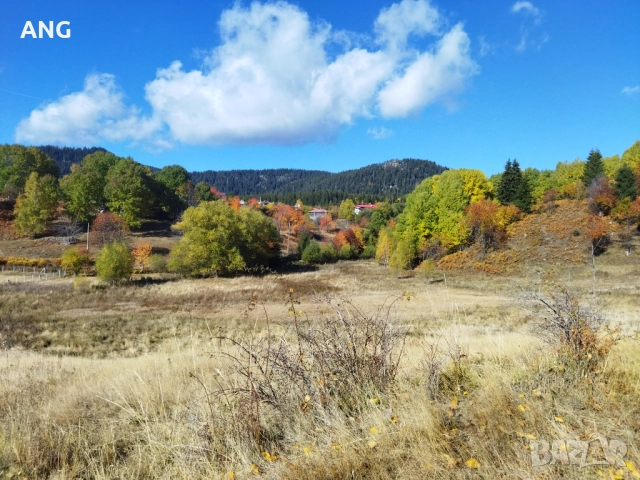 Продава парцел в Смолянски езера , снимка 7 - Парцели - 52178672