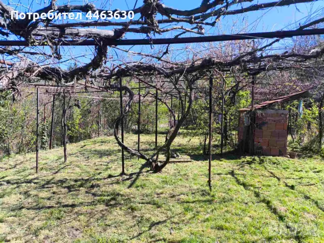 Парцел в с. Крайни дол, снимка 7 - Парцели - 50165003