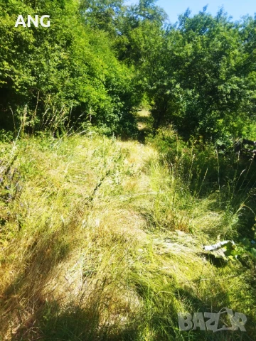 Продава парцел в гр.Девин , снимка 13 - Парцели - 50804650