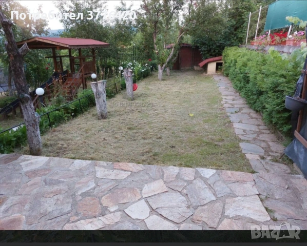 Поддръжка на тревни площи , снимка 3 - Други услуги - 54178883