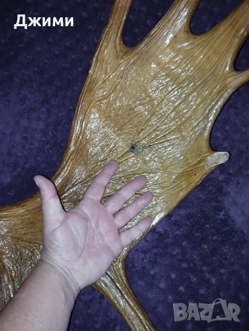 голям лос, снимка 13 - Антикварни и старинни предмети - 53622617