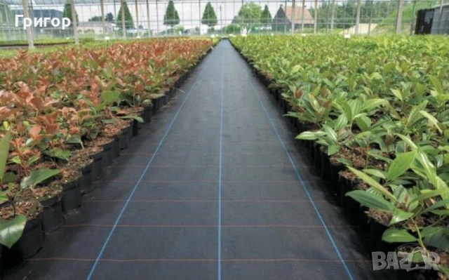 Зебло против плевели! Парчета и ролки!, снимка 3 - Други стоки за дома - 53680467