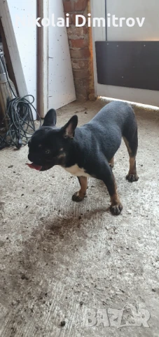 На година и два три месеца доказан баща бащаму е син, снимка 1