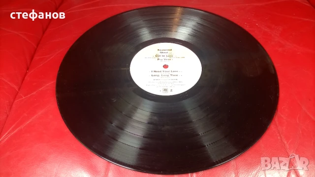 Дългосвиреща грамофонна плоча на SEAWIND, А&М , снимка 7 - Грамофонни плочи - 50733985