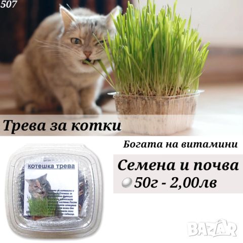 Лакомства за котки. Трева за котка. Трюфели за котка със сирене и сметана. Лакомство за котка, снимка 2 - За котки - 33859999