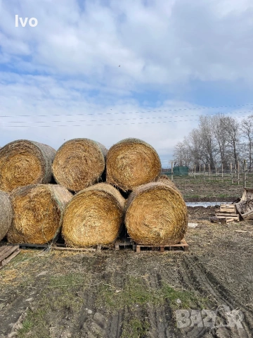 Слама малки и ролонни бали, снимка 5 - За селскостопански - 53711648