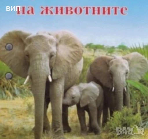 Чудният свят на животните-233 карти